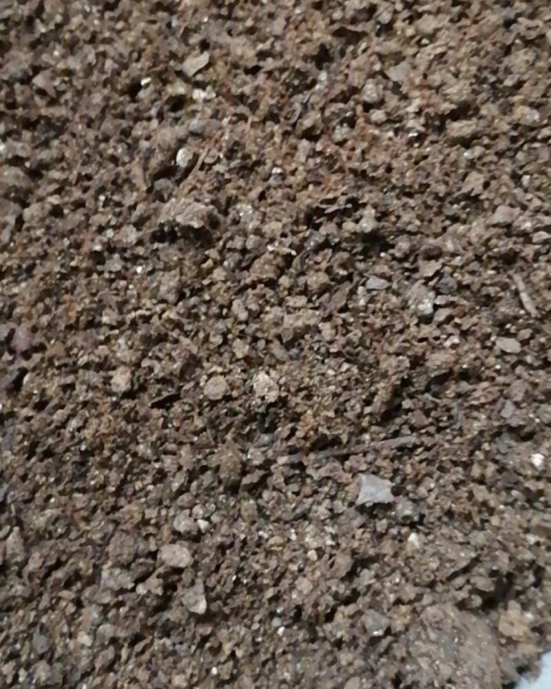 夜明砂蝙蝠屎蝙蝠粪便天鼠屎鼠法石肝黑砂星