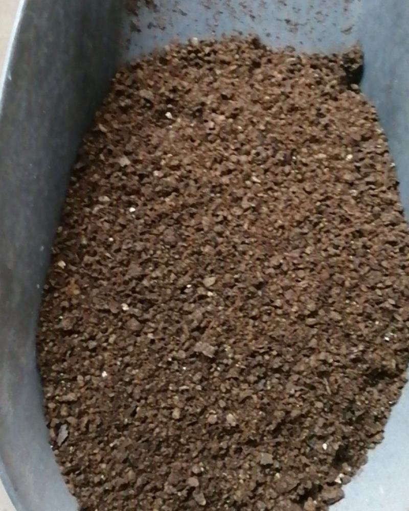 夜明砂蝙蝠屎蝙蝠粪便天鼠屎鼠法石肝黑砂星