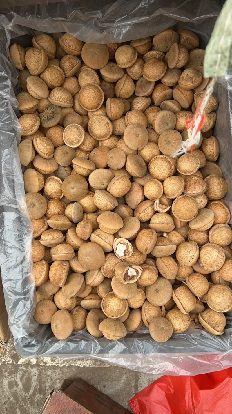 本地风流果薄壳肉多百分之九十九全肉自产自