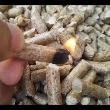 广西原产地大量优质生物颗粒燃料供应常年供应