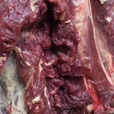 生鲜驴肉，纯干驴肉，基地养殖，一手货源，供货、品质有保障