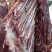 生鲜驴肉，纯干驴肉，基地养殖，一手货源，供货、品质有保障