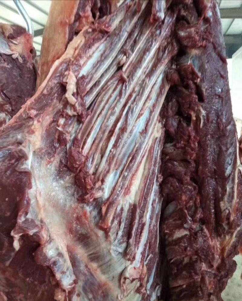 生鲜驴肉，纯干驴肉，基地养殖，一手货源，供货、品质有保障