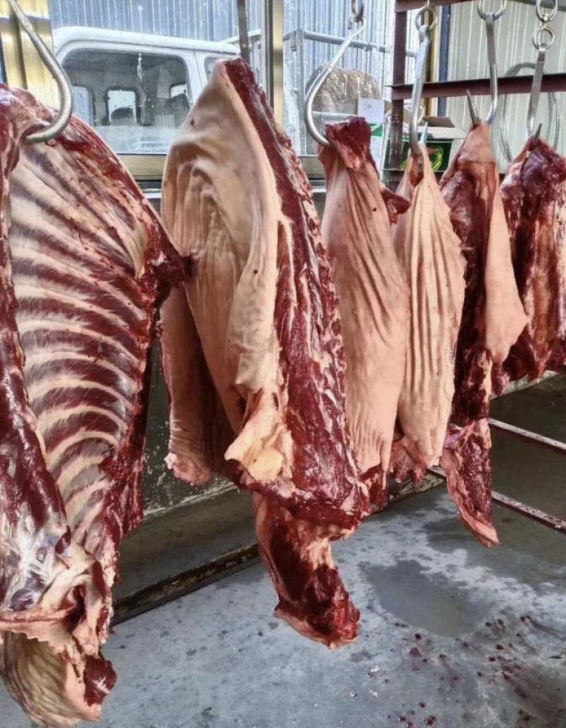 生鲜驴肉，纯干驴肉，基地养殖，一手货源，供货、品质有保障