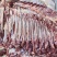 生鲜驴肉，纯干驴肉，基地养殖，一手货源，供货、品质有保障
