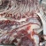生鲜驴肉，纯干驴肉，基地养殖，一手货源，供货、品质有保障