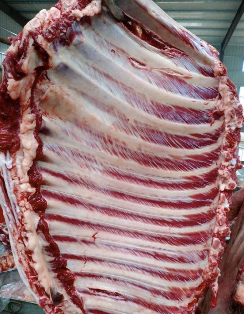 生鲜驴肉，纯干驴肉，基地养殖，一手货源，供货、品质有保障