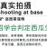 茂华南汇8424西瓜种子，薄皮粉红瓤，甜度14，脆甜爽口