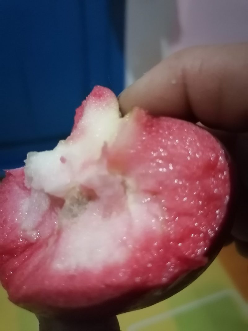 红色之爱119-06产自辽宁丹东，红色之爱苹果里外全红。