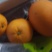 脐橙