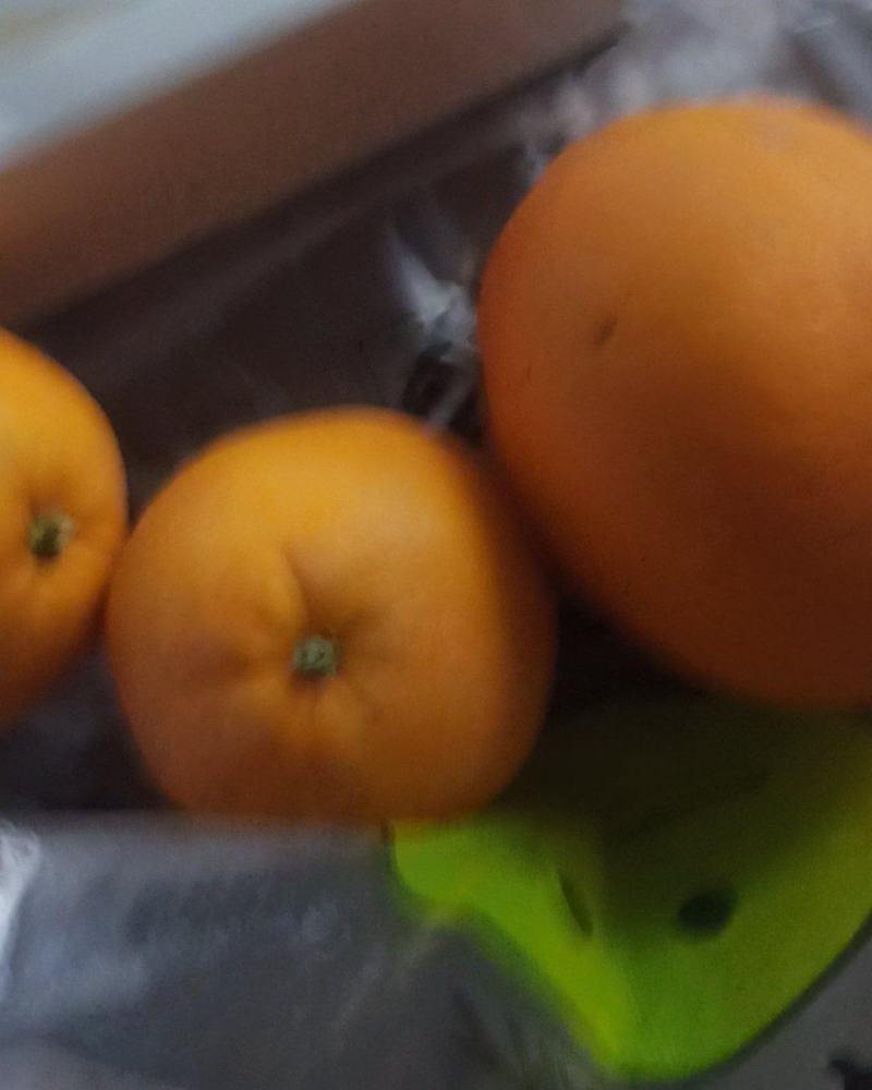 脐橙