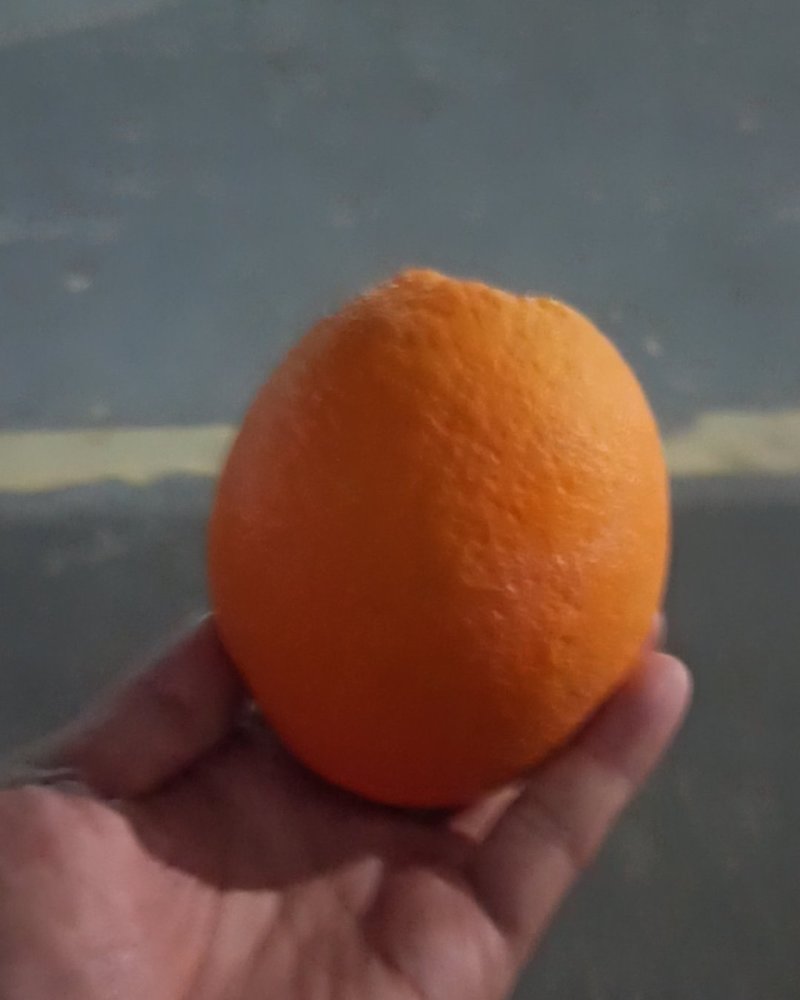 脐橙