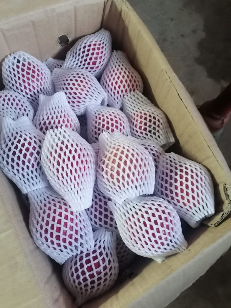 红色之爱119-06产自辽宁丹东，红色之爱苹果里外全红。