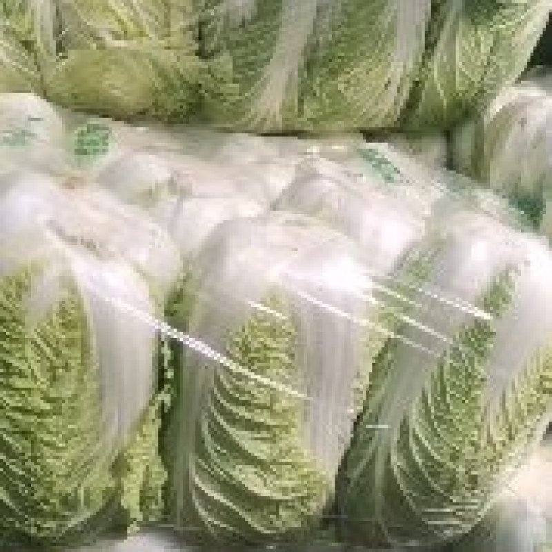 湖北精品黄心大白菜，大型基地，现砍现装，保质保量