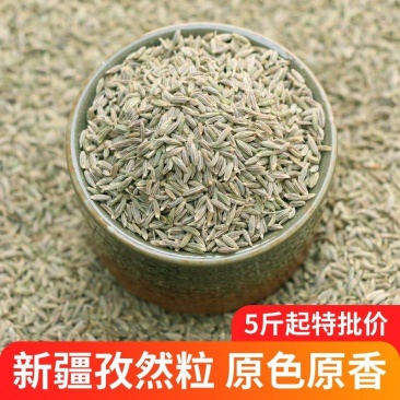 新疆本地人售卖吐鲁番孜然