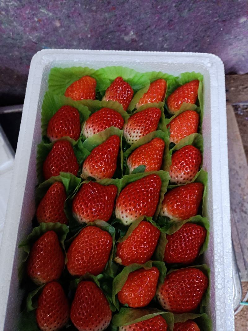 草莓质量保证，价格随市场价，希望各地老板订购，合作共赢，