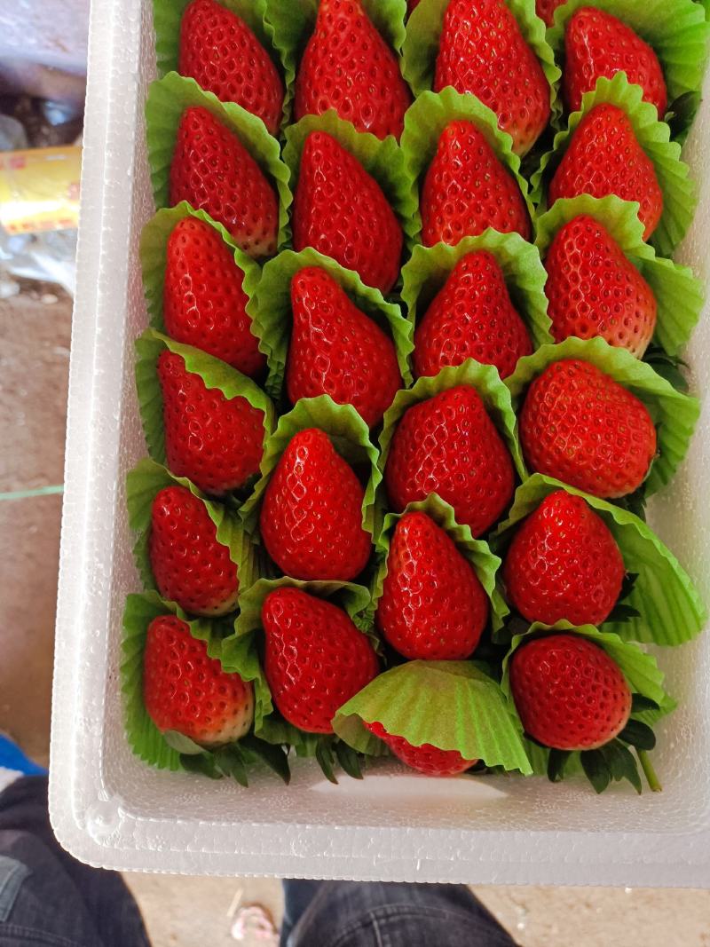 草莓质量保证，价格随市场价，希望各地老板订购，合作共赢，