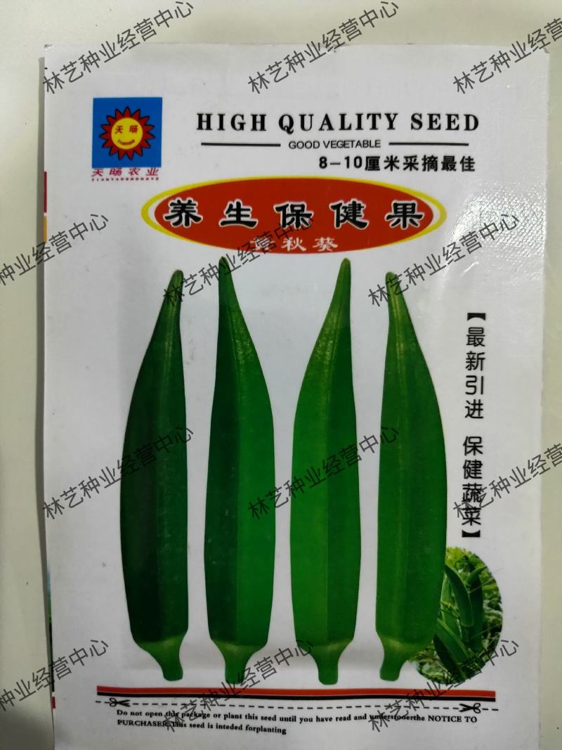黄秋葵种子一年四季可种植补肾果不易老可生吃的蔬菜种子