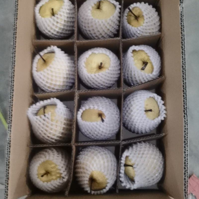 （砀山酥梨）陕西蒲城产地直发，现场打包，皮薄肉厚，一件代
