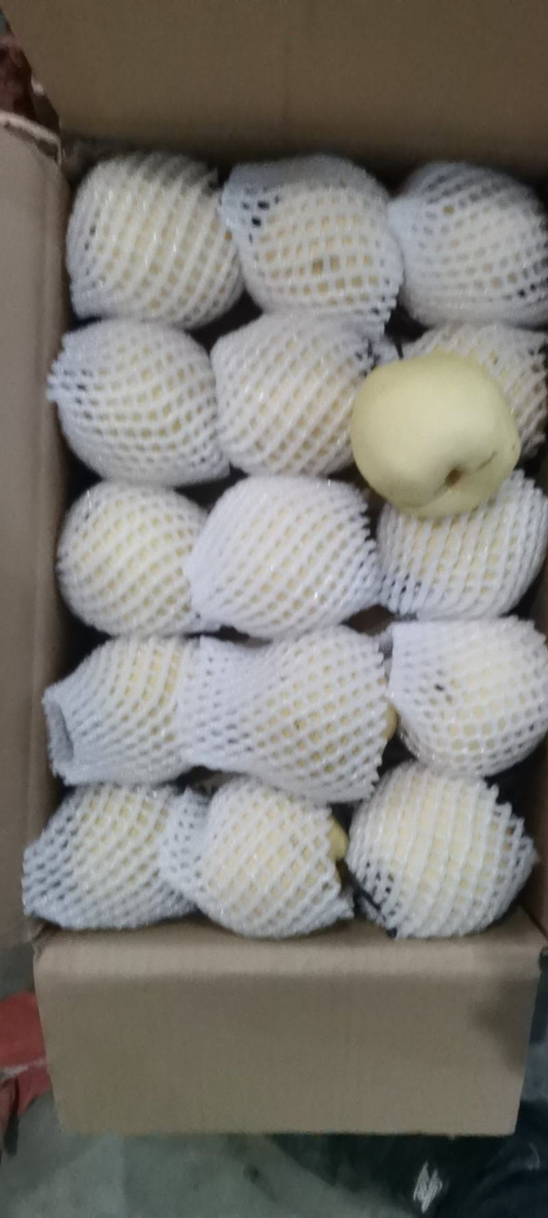 （砀山酥梨）陕西蒲城产地直发，现场打包，皮薄肉厚，一件代