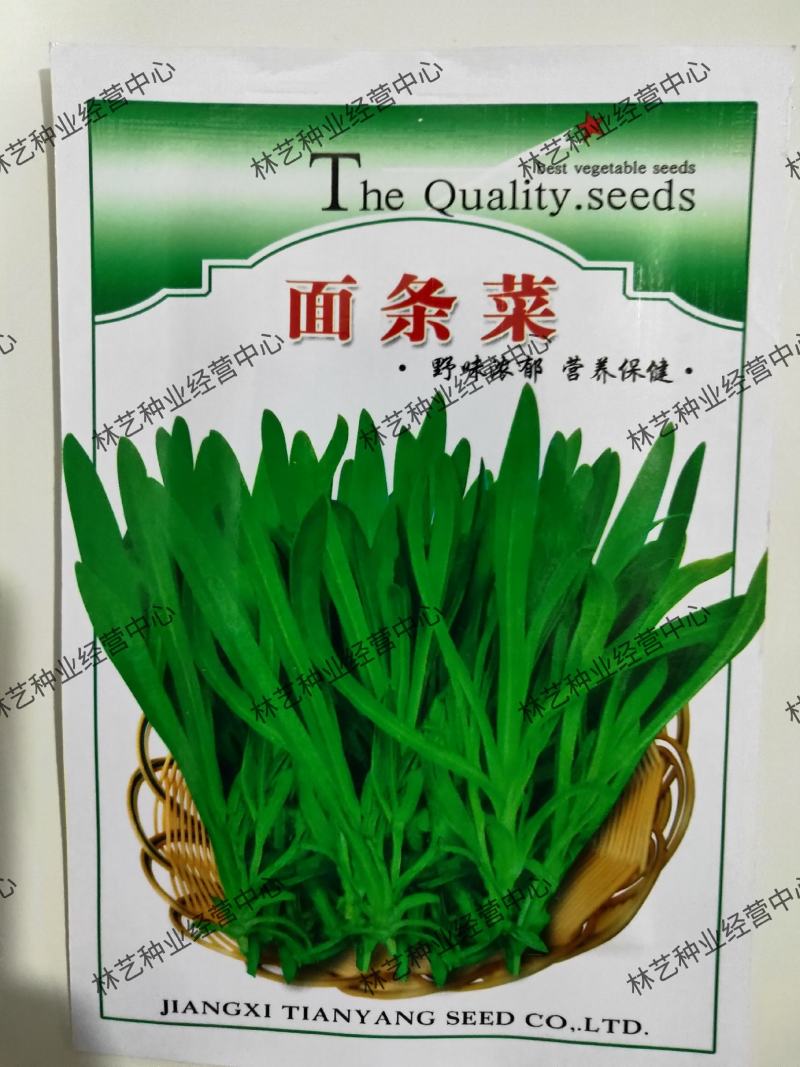 面条菜种子四季播春秋露地秋冬季保健蔬菜野菜籽春季四籽种孑