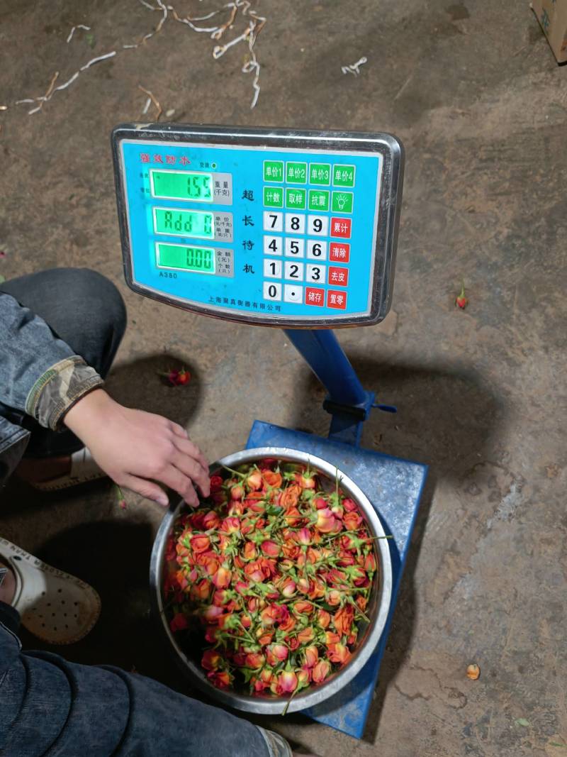 批发鲜花花头婚庆装饰花束配材花墙花柱插花原产地发货