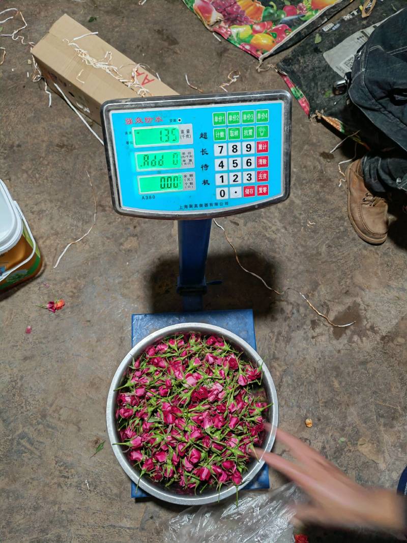 批发鲜花花头婚庆装饰花束配材花墙花柱插花原产地发货