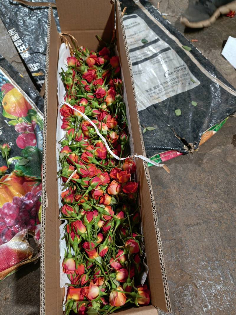 批发鲜花花头婚庆装饰花束配材花墙花柱插花原产地发货