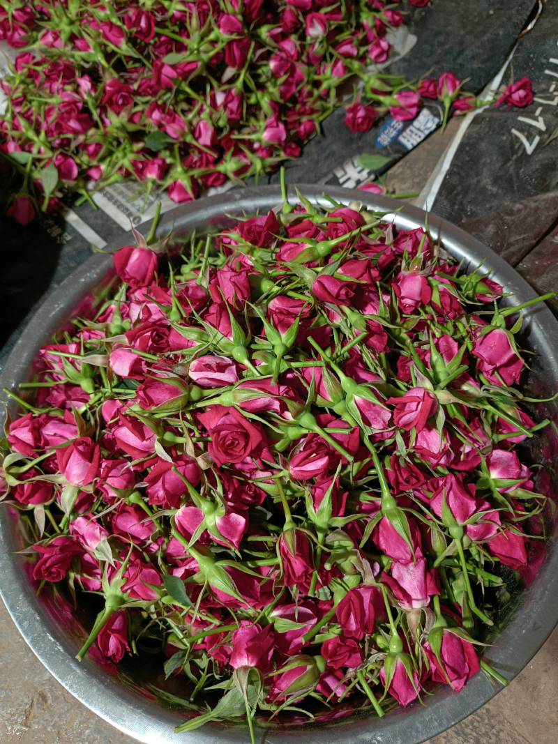 批发鲜花花头婚庆装饰花束配材花墙花柱插花原产地发货