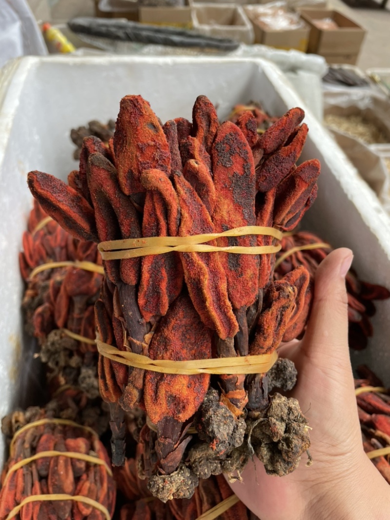 云南回春草大货批发大条小条中条回春草批发