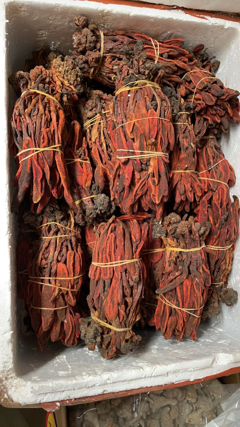 云南回春草大货批发大条小条中条回春草批发