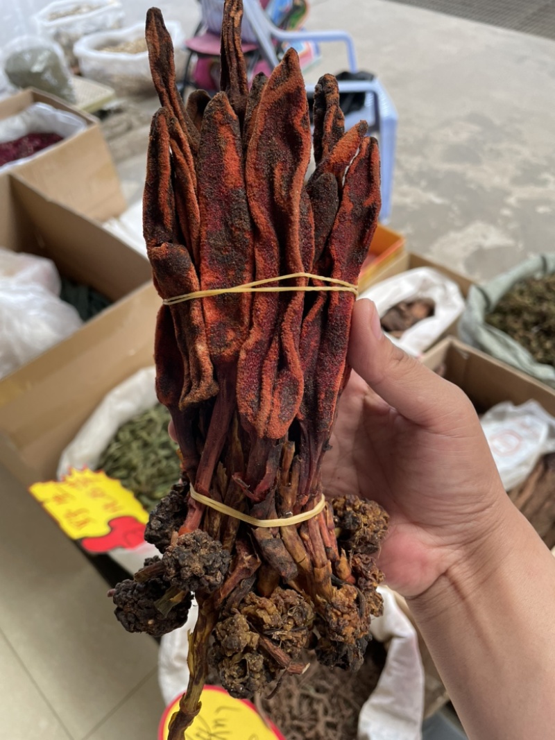 云南回春草大货批发大条小条中条回春草批发