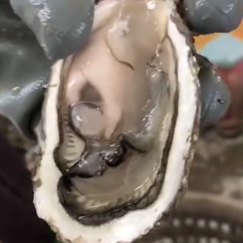 烧烤生蚝