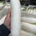 湖北精品白萝卜本地优质蔬菜货量充足产地直销