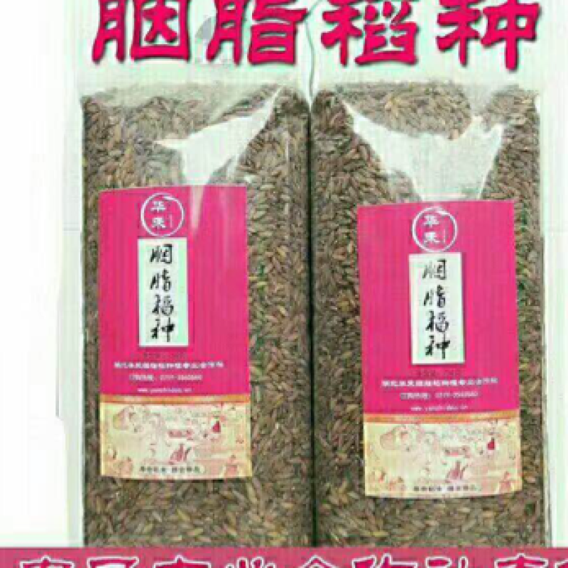水稻种子/粮油种子/胭脂稻种子/自留种种子