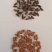 水稻种子/粮油种子/胭脂稻种子/自留种种子