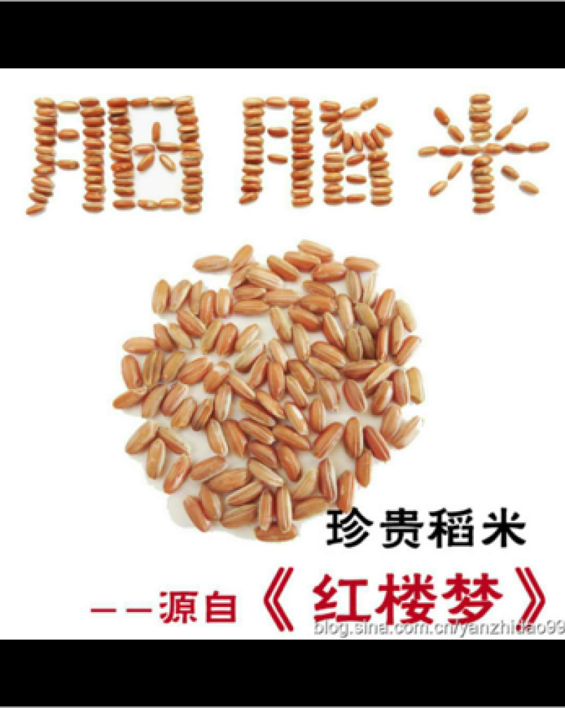 水稻种子/粮油种子/胭脂稻种子/自留种种子