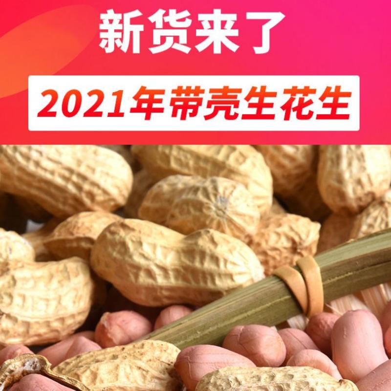 带壳生花生2023年新货5斤装新鲜晒干高产种子粉皮种籽种