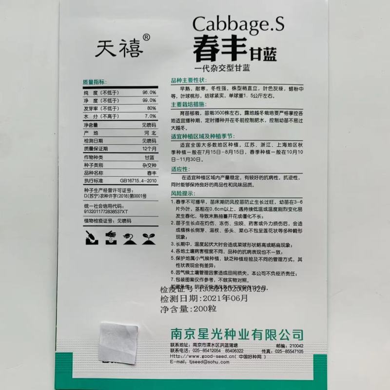 天禧一代杂交甘蓝种子春丰甘蓝种子早熟，耐寒卷心菜种子