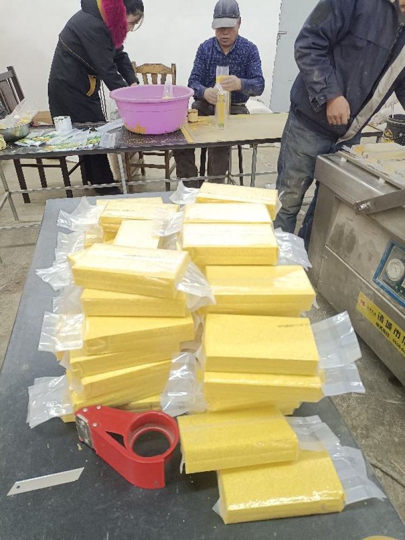 赤峰市敖汉旗坡地金苗K1小米黄金苗小米月子米放心米！