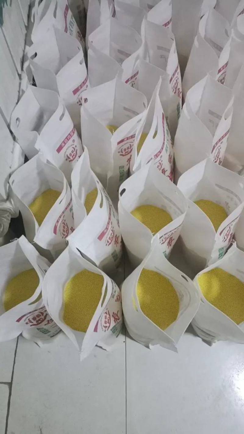 赤峰市敖汉旗坡地金苗K1小米黄金苗小米月子米放心米！
