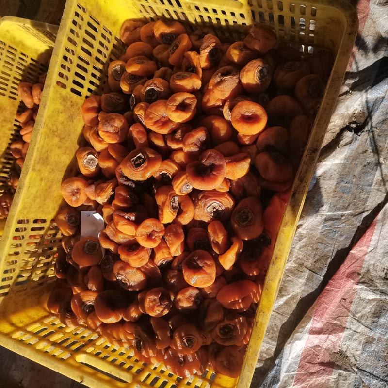 广西桂林平乐柿饼2022年恭城县电商中小柿饼