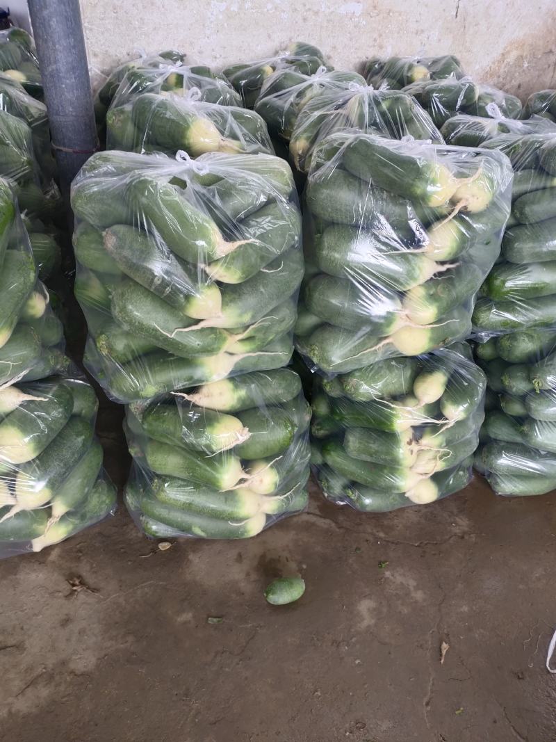 【实力热卖】水果萝卜大量现货可对接商超现拔现发欢迎选购