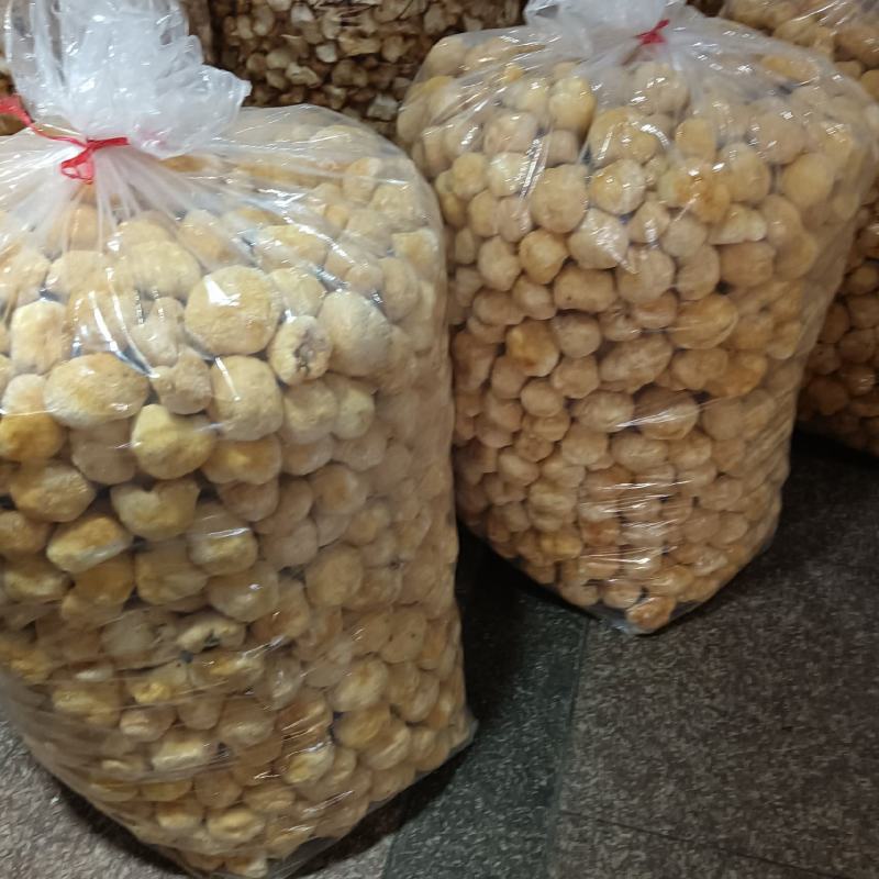 特价新货猴头菇，视频看货福建古田食用菌之都食用菌批发市场