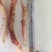 冰鲜蟹钳/兰花蟹钳/一手货源，大量有货，全国发货