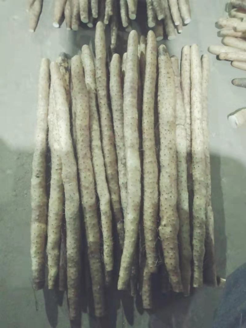 正宗水洗小白嘴山药包质量无虫眼刀伤。河北产地直供