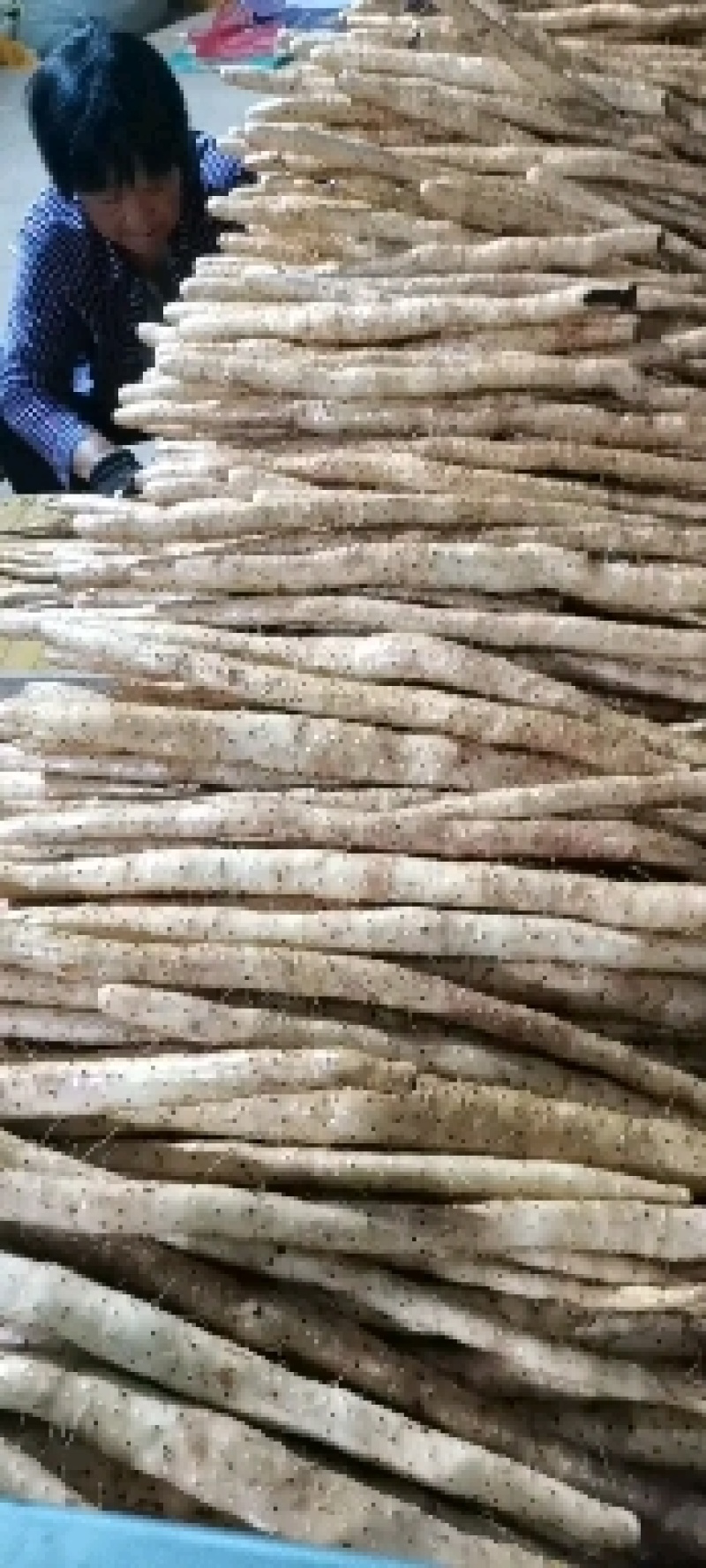 正宗水洗小白嘴山药包质量无虫眼刀伤。河北产地直供