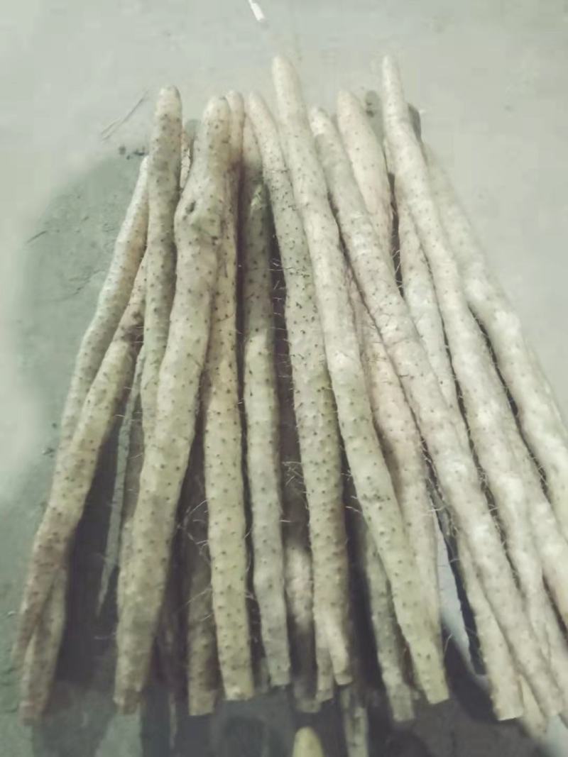 正宗水洗小白嘴山药包质量无虫眼刀伤。河北产地直供