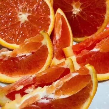 中华红血橙，产地直销一手货源，可视频看货