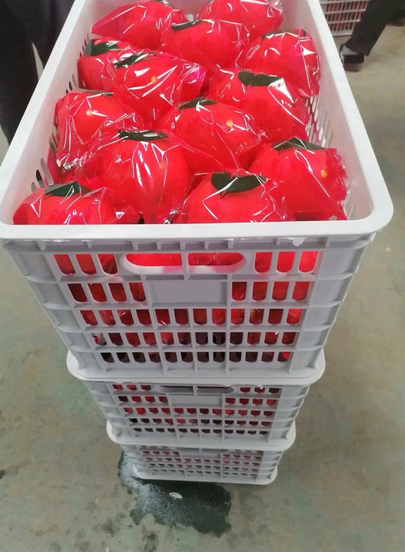 湖北纽荷尔脐橙甜蜜多汁一手货源基地直发可视频看货